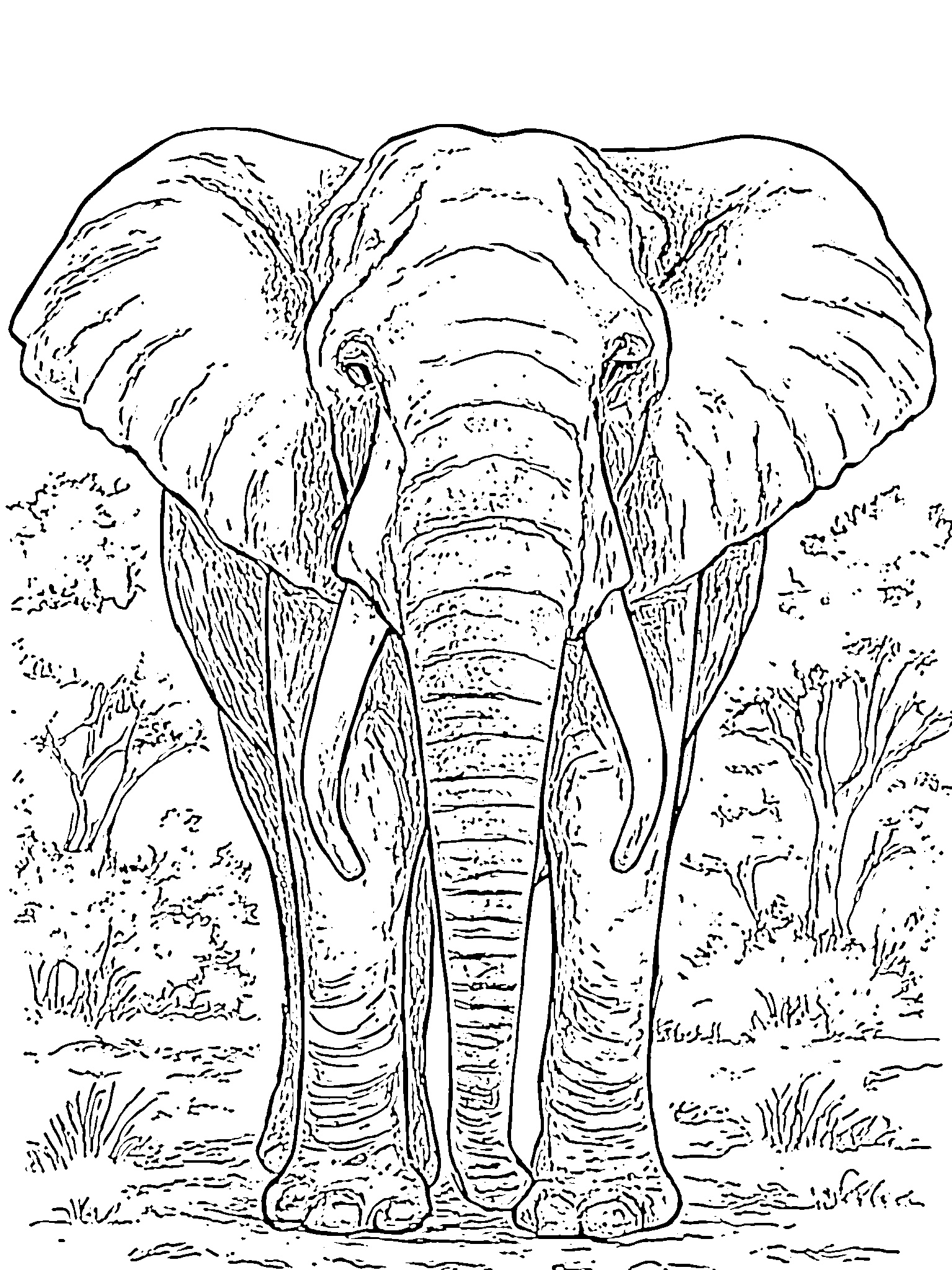 gajah binatang hewan liar